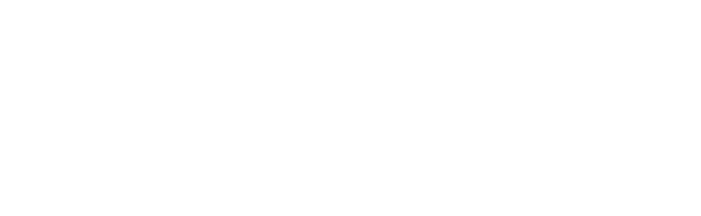 Access Evolved